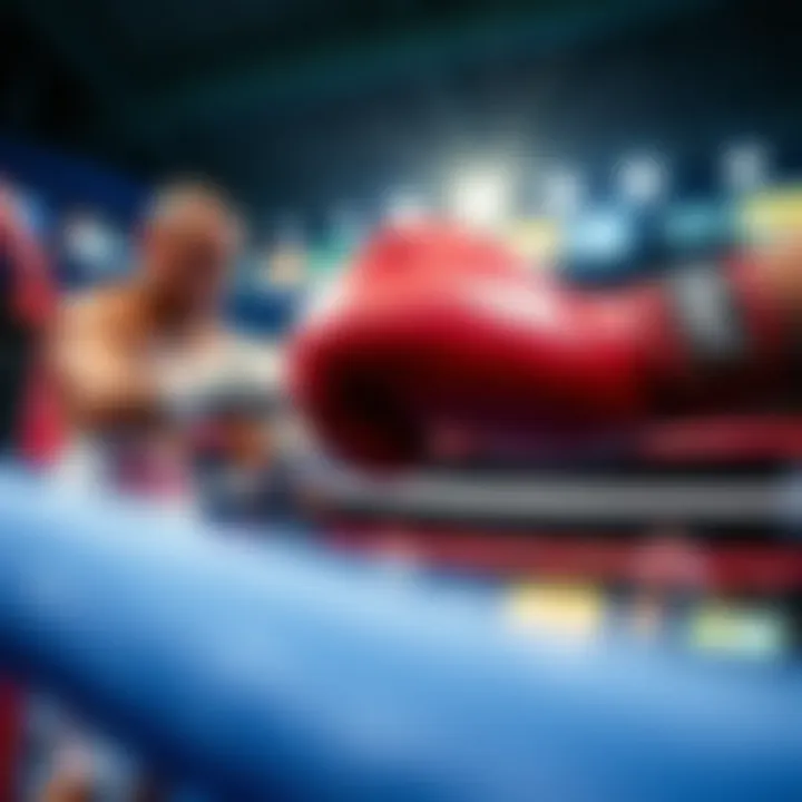 Key Factors Affecting Fight Outcomes Factors influencing boxing fight results
