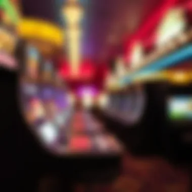 Diverse Gaming Options in Casinos Diverse gaming options in casinos